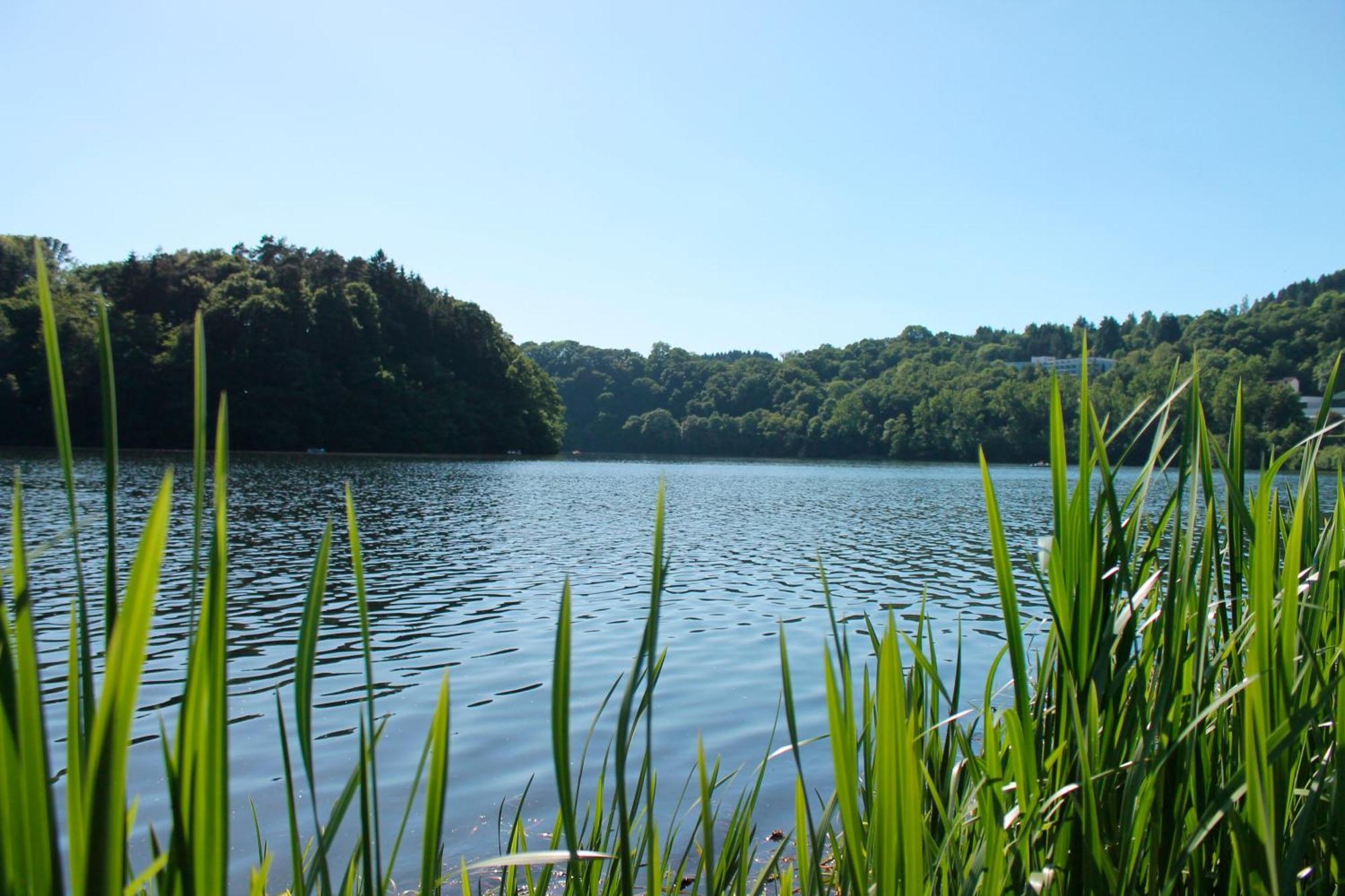 Holiday home Seeblick Bitburg